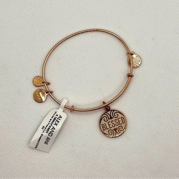 Alex and Ani Gold 'Blessed' Charm Bracelet - Picture 4 of 4